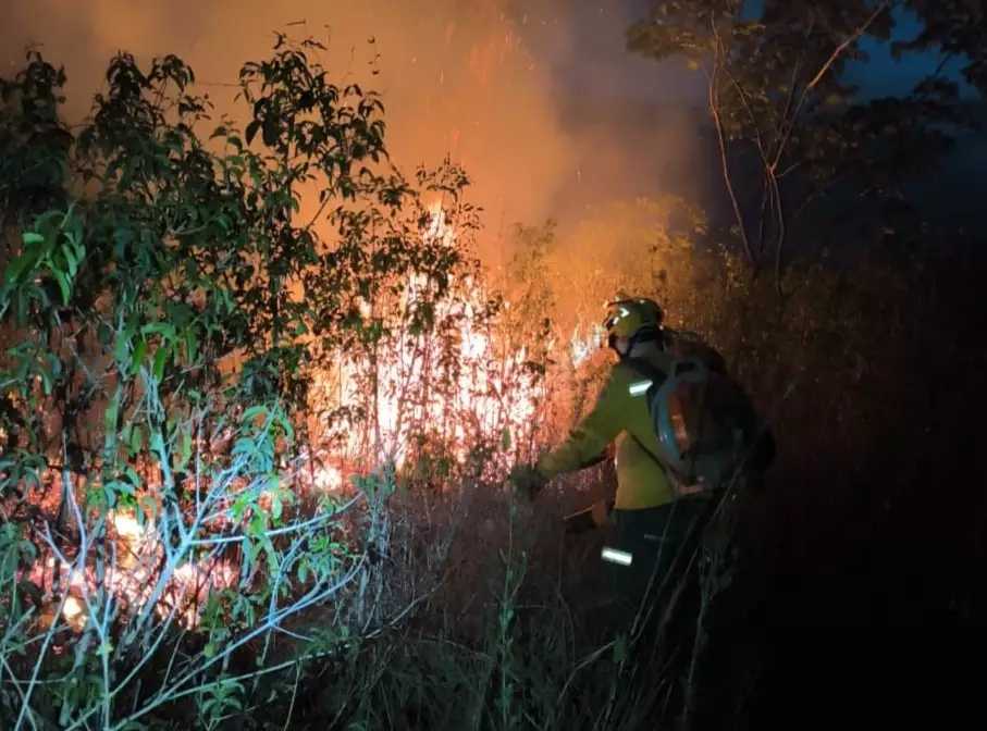 Riedel decreta estado de emergência ambiental por 180 dias