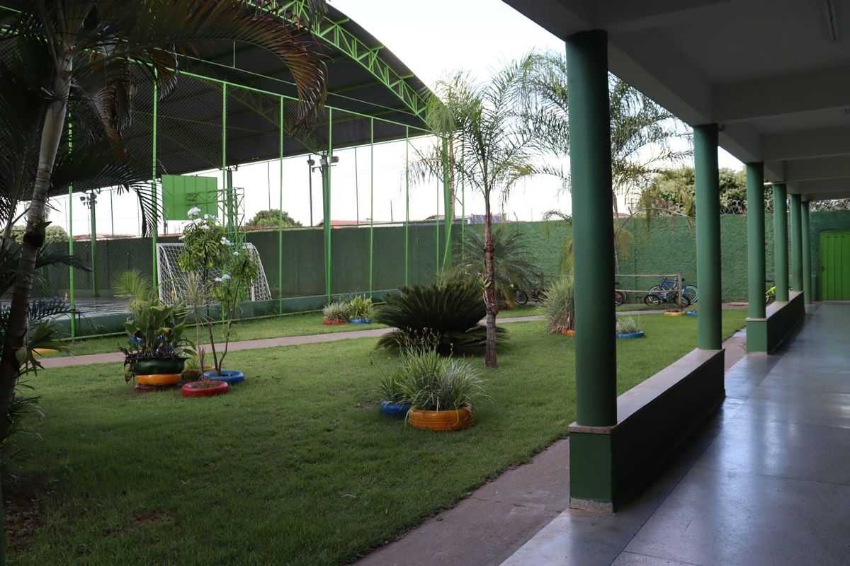 Imagem 2 da galeria