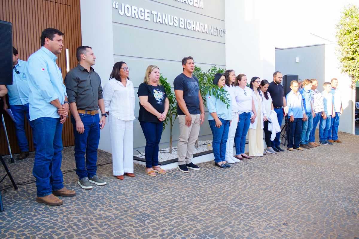 Imagem 9 da galeria