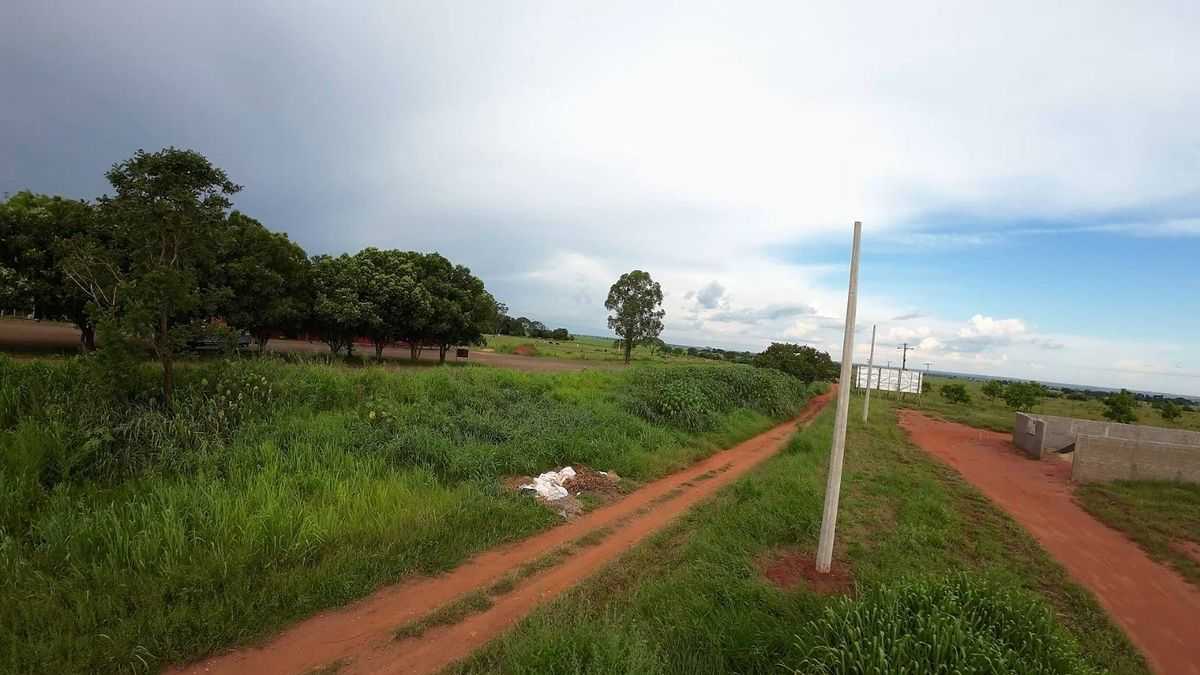 Imagem 4 da galeria