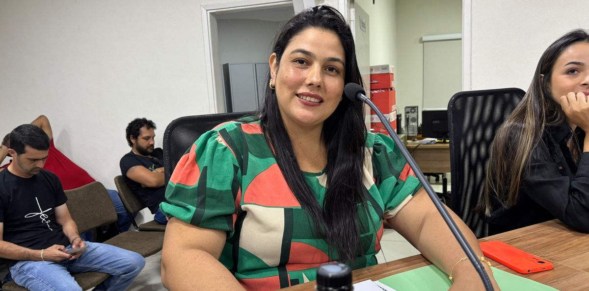 Francilaine Campos solicita revitalização de ponte e criação de programa para calçadas