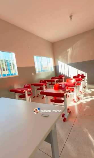 Imagem 1 da galeria