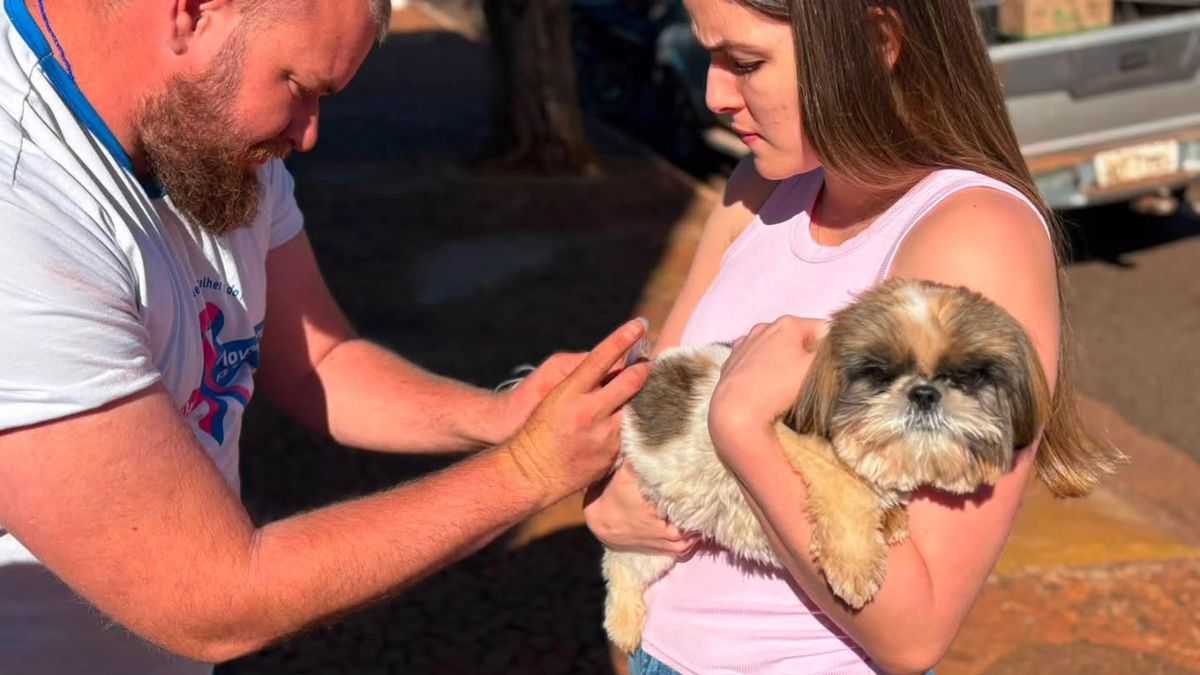 🐶🐱 Cuidar dos nossos animais também é cuidar de toda a comunidade! 💙