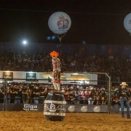 Imagem 112 da galeria