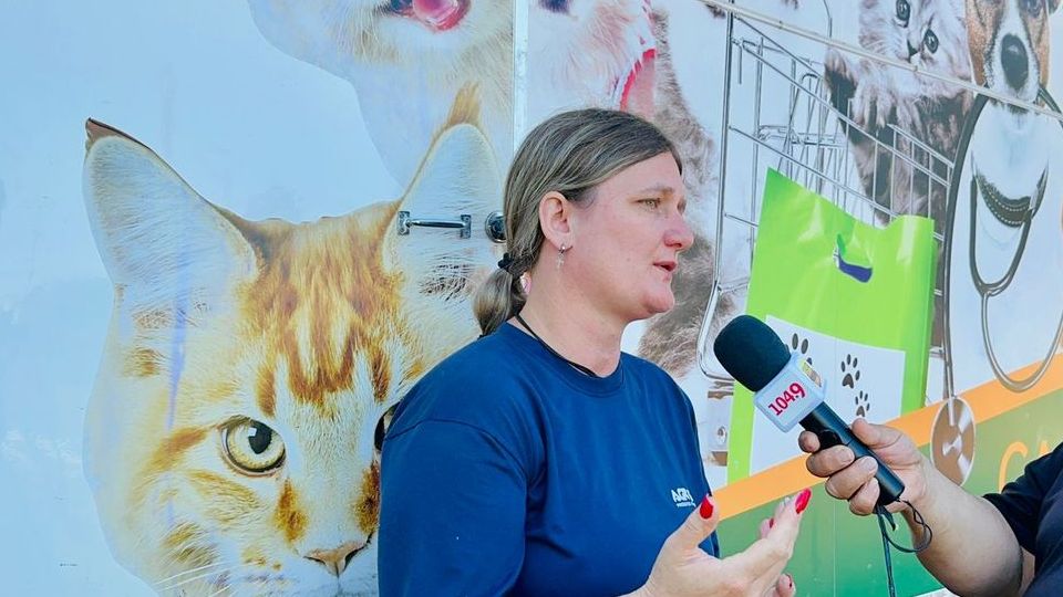 Castramóvel realizou castração de mais de 1300 animais em Ibirubá