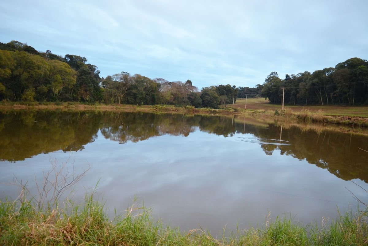 Sustentabilidade e crescimento: a visão  de Dirson Gabe na piscicultura