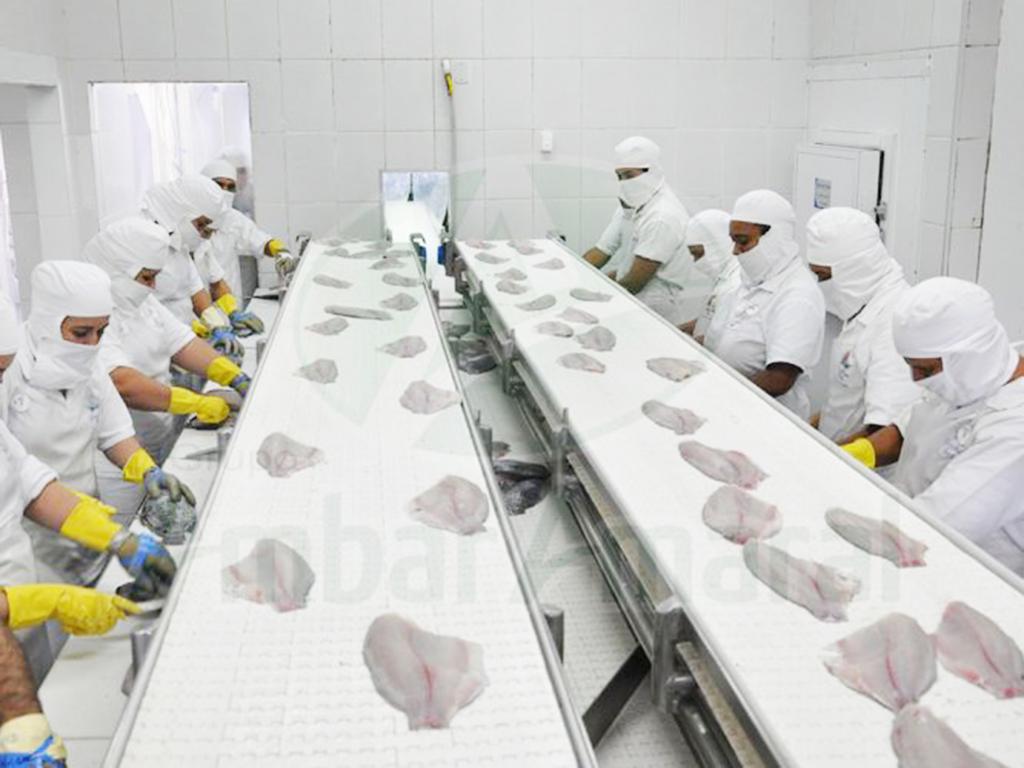 Piscicultura e reabertura do Frigorífico poderão recuperar empregos em 2018
