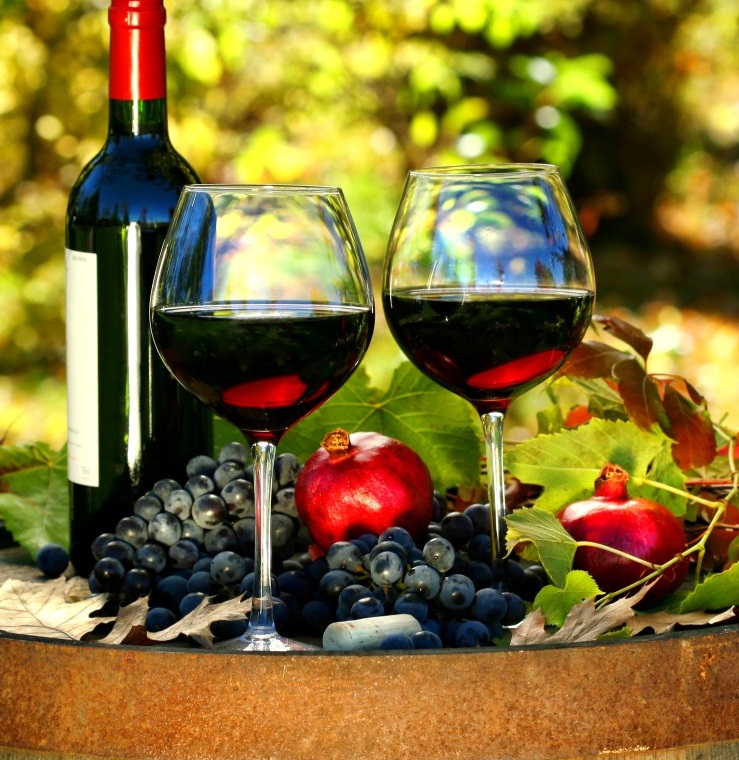 04-Os visitantes também podem adquirir deliciosos vinhos e licores artesanais