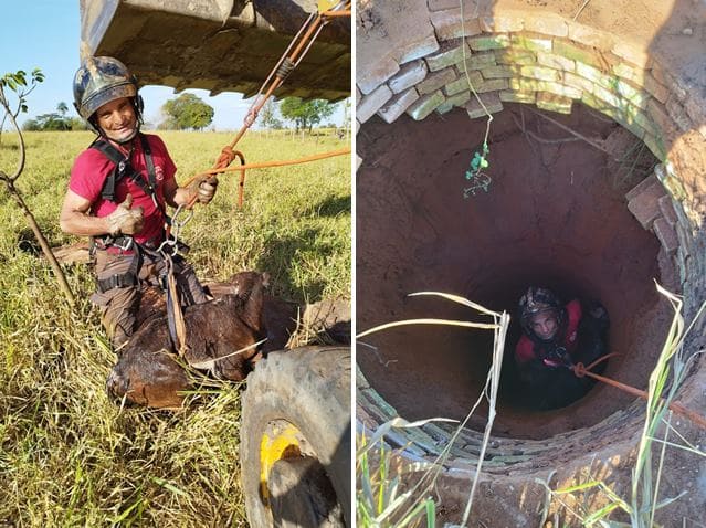 Bezerro cai em poço de 30 metros de profundidade e é resgatado por bombeiros