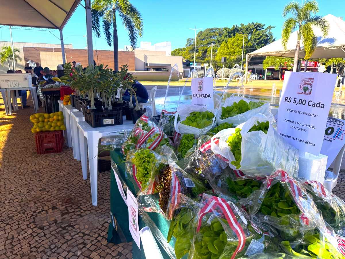 Feira da Agricultura Familiar reúne produtores, instituições e fortalece o desenvolvimento rural em Jales