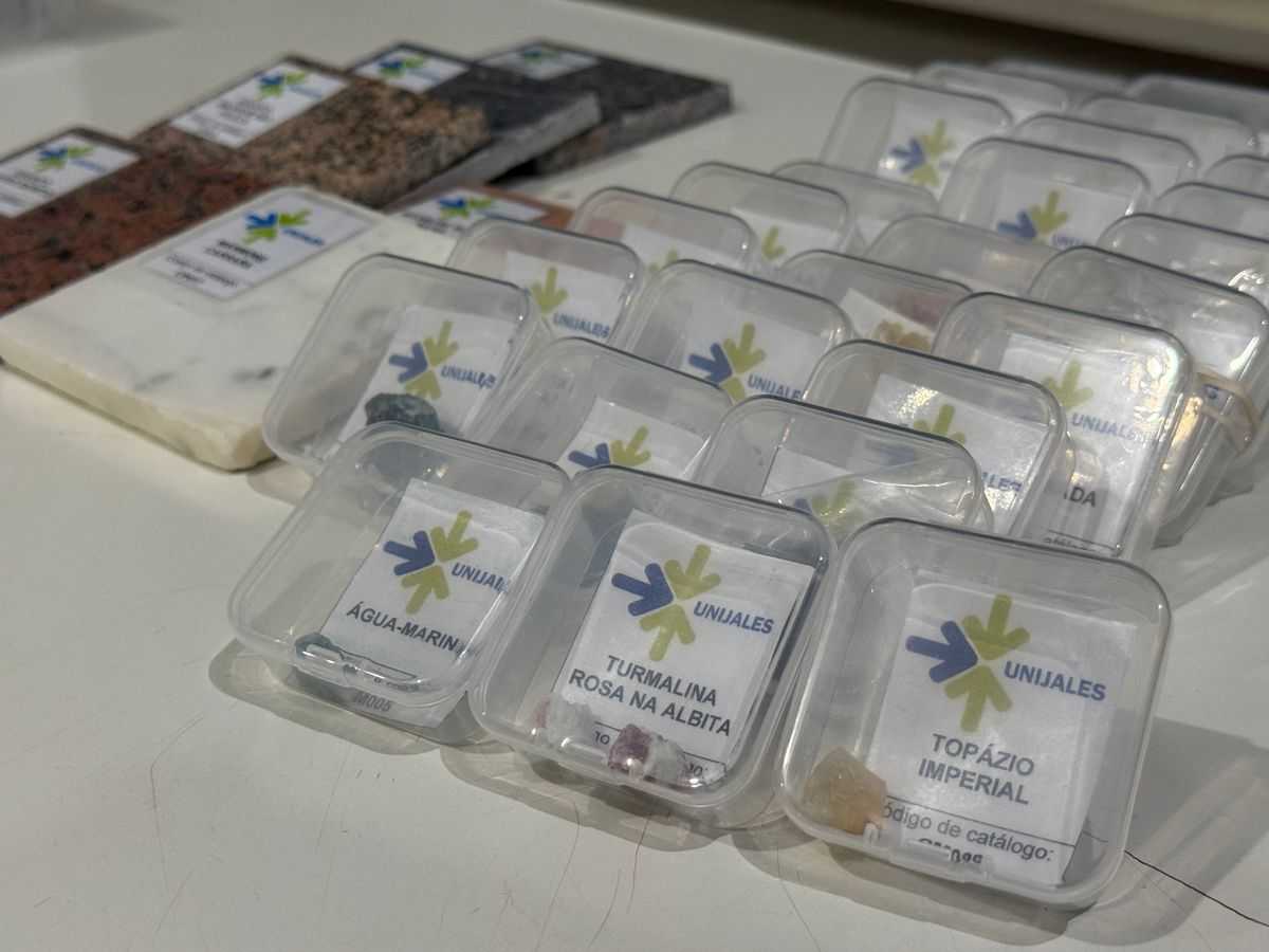 Alunos de Agronomia do Unijales catalogam coleção com quase 100 amostras de minerais e rochas