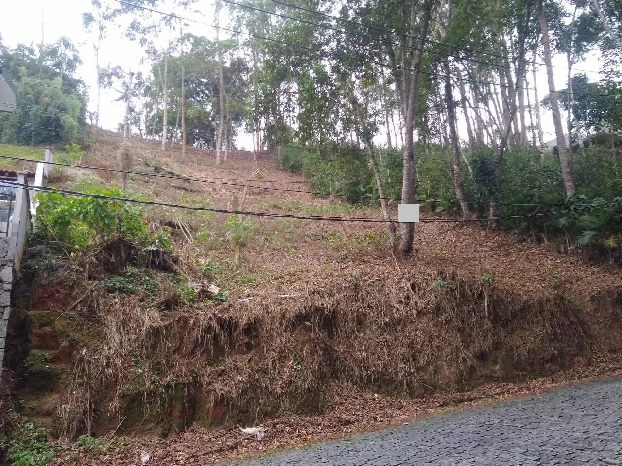 Terreno à venda com 1 quarto, 1072m² - Foto 2