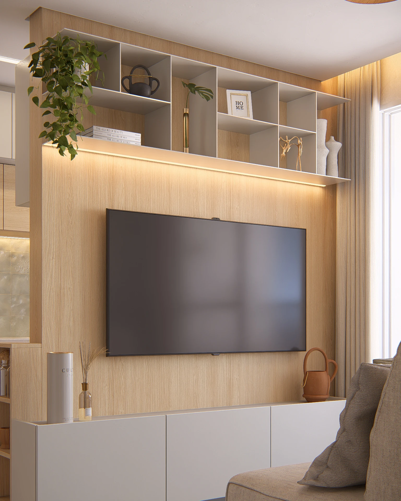TV
