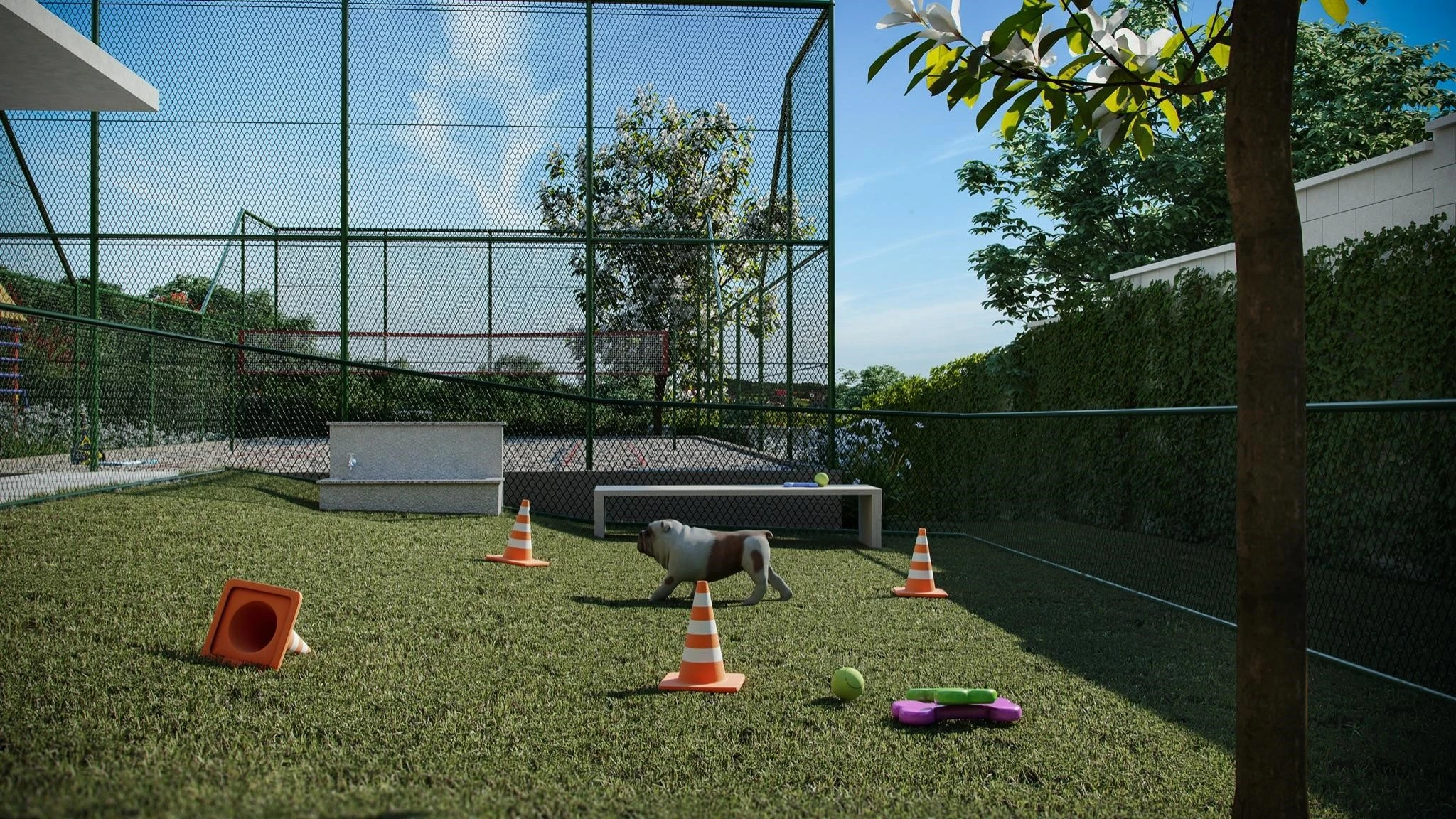 Espaço pet