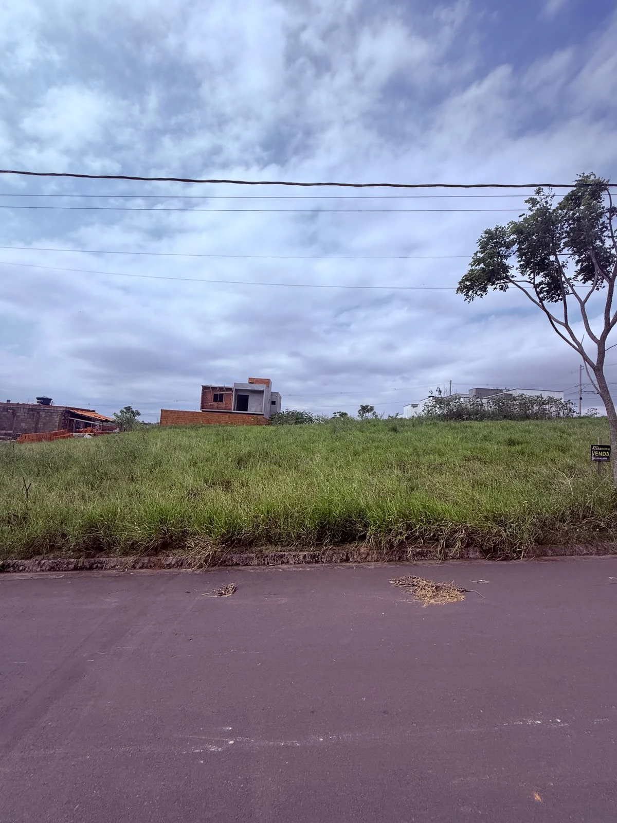 Terreno