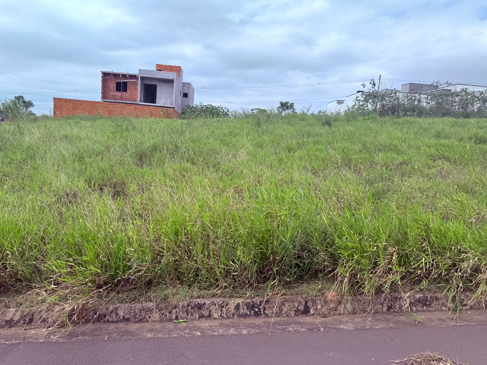 Terreno