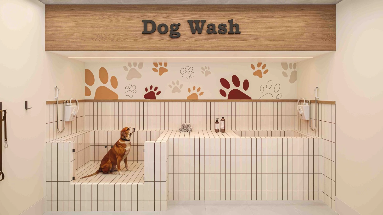 Dog wash