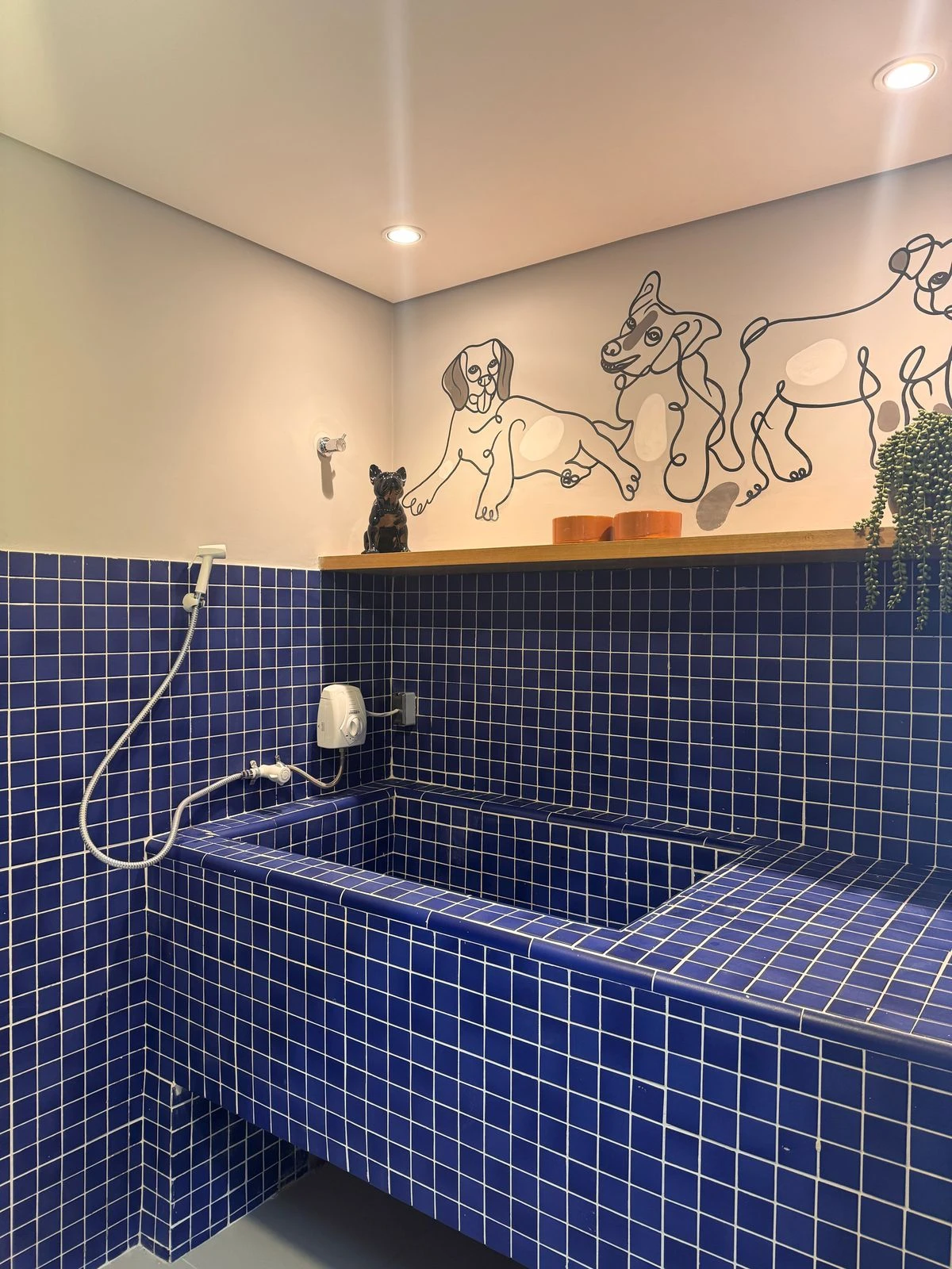 Pet Care
