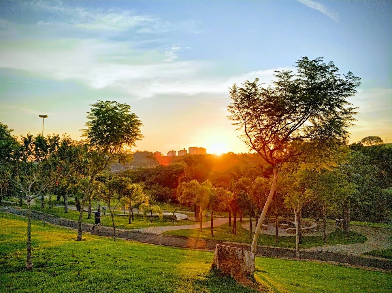 Parque