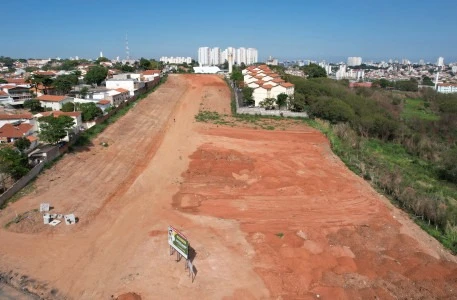Lote