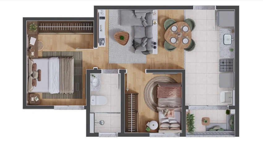 PLANTA 2 0