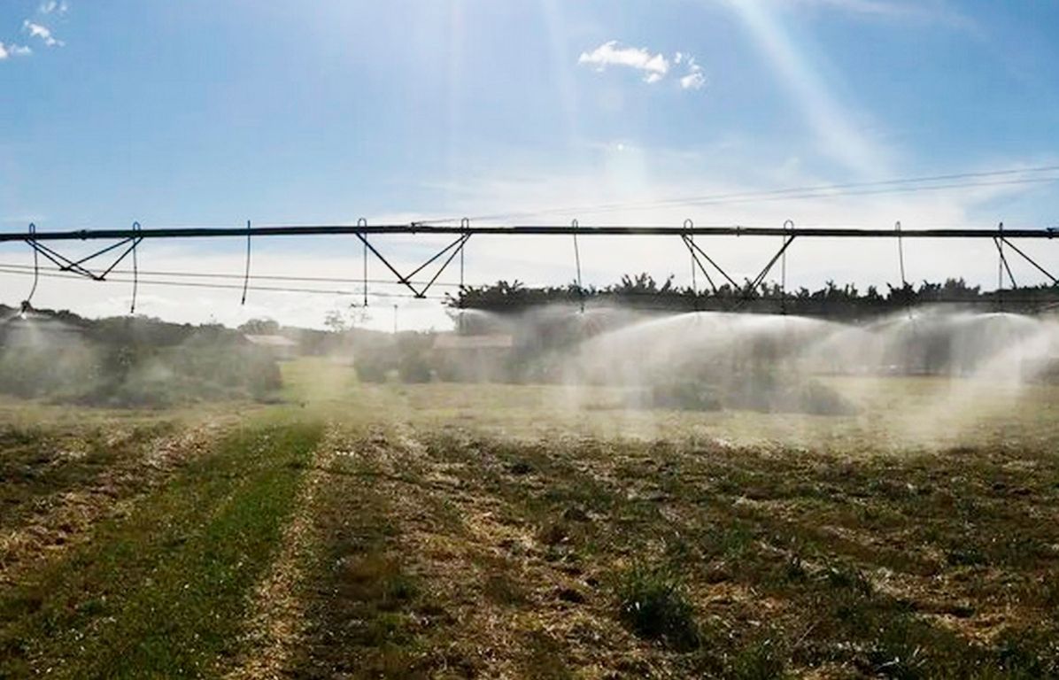 Frutal está entre os 100 municípios mais ricos do agronegócio em 2023