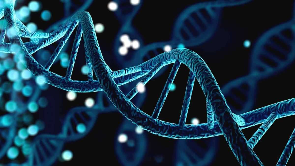 Projeto reconhece progeria como deficiência e pode ampliar direitos a pacientes
