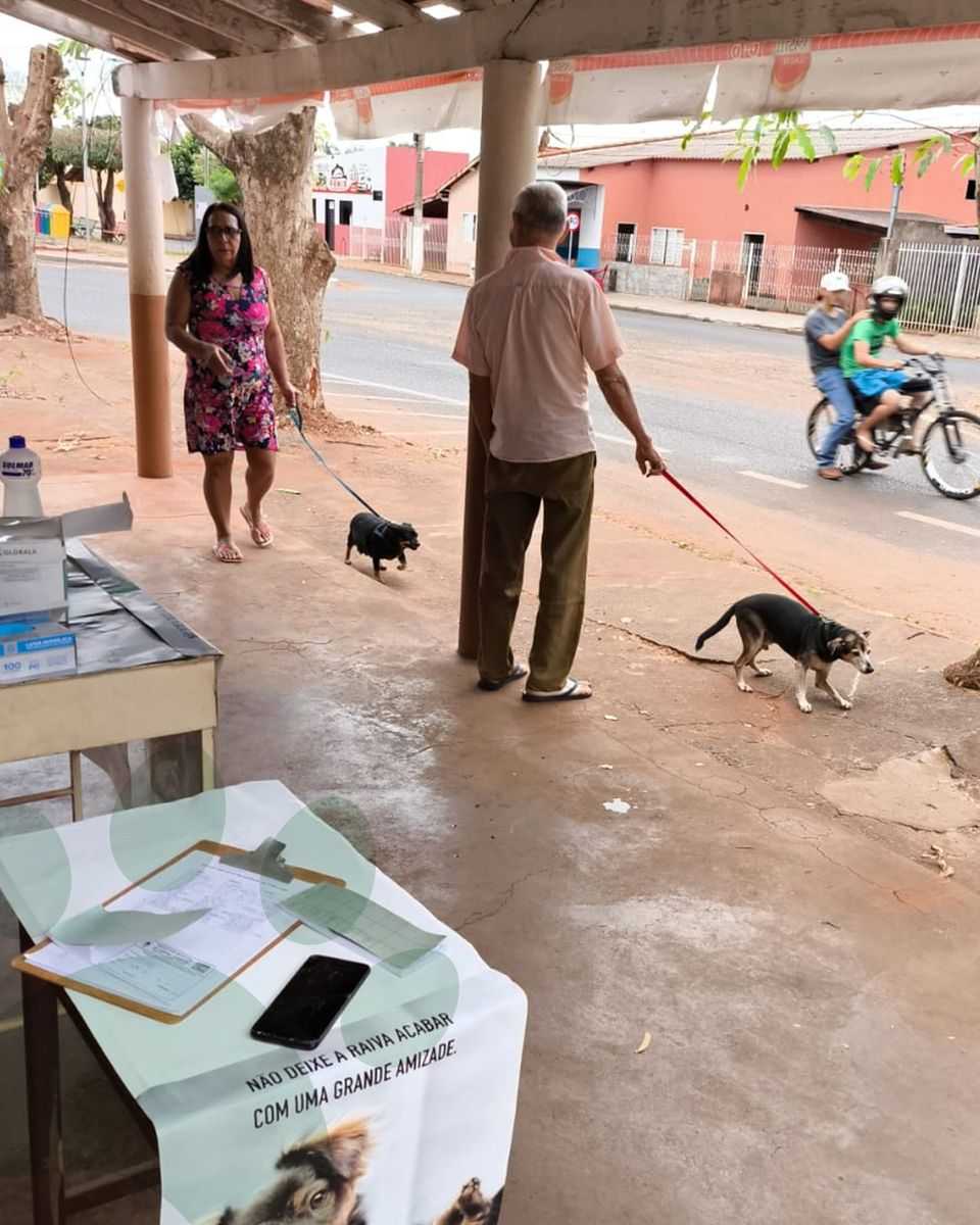 🚨 Campanha de Vacinação Contra a Raiva 2025 tem início em Campina Verde
