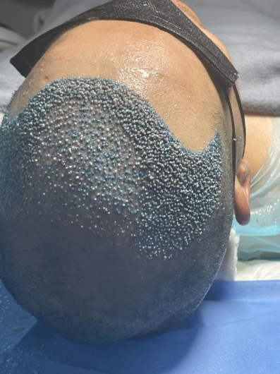 Victor Ferraz Marques-2