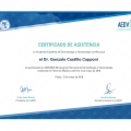 Acercar imagen: certificate 6