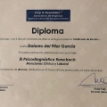 Acercar imagen: certificate 20