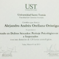 Acercar imagen: certificate 3