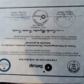 Acercar imagen: certificate 6