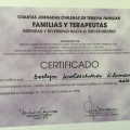Acercar imagen: certificate 9