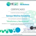 Acercar imagen: certificate 4