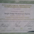 Acercar imagen: certificate 5