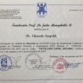 Acercar imagen: certificate 10