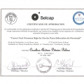 Acercar imagen: certificate 5