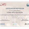 Acercar imagen: certificate 9