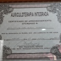 Acercar imagen: certificate 9