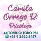 Camila Orrego Rojas
