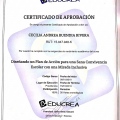 Acercar imagen: certificate 4