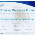 Acercar imagen: certificate 9