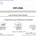 Acercar imagen: certificate 3