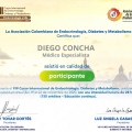 Acercar imagen: certificate 28