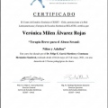 Acercar imagen: certificate 3