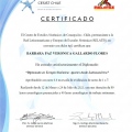 Acercar imagen: certificate 3