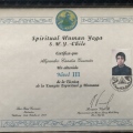 Acercar imagen: certificate 5