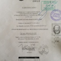 Acercar imagen: certificate 3