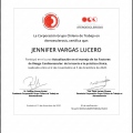 Acercar imagen: certificate 6